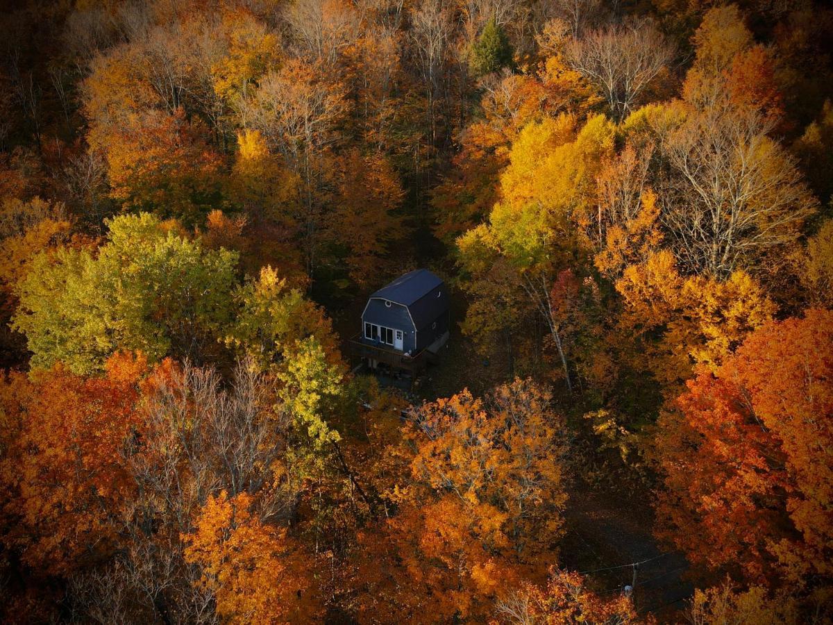 Mandy'S Mountain Chalet Dover Εξωτερικό φωτογραφία